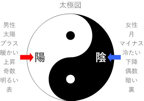 太極五行|太極図